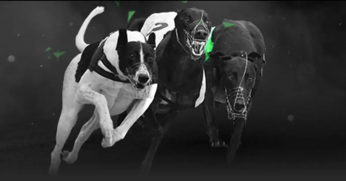 布赖代激战,阿科多,实力悬殊对,爱游戏app,爱游戏官网,爱游戏体育官网,爱游戏体育app