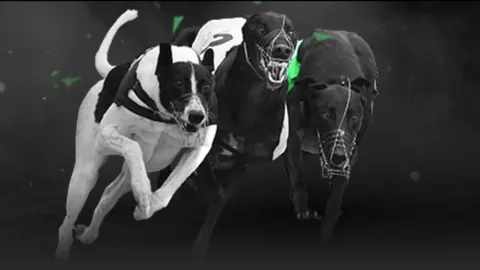 《布赖代激战阿科多，实力悬殊对决，悬念迭起！》